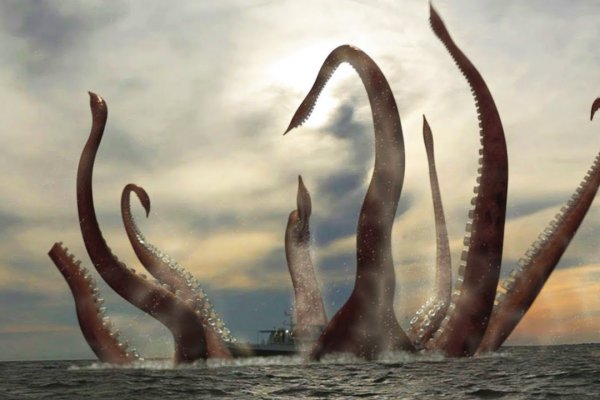 Kraken даркнет переходник